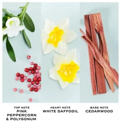 Perfect Eau de Toilette