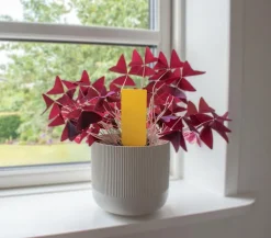 Plantelimfælde mod Skadelige Insekter