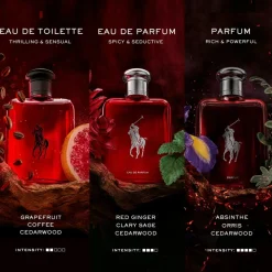 Polo Red Eau de Toilette