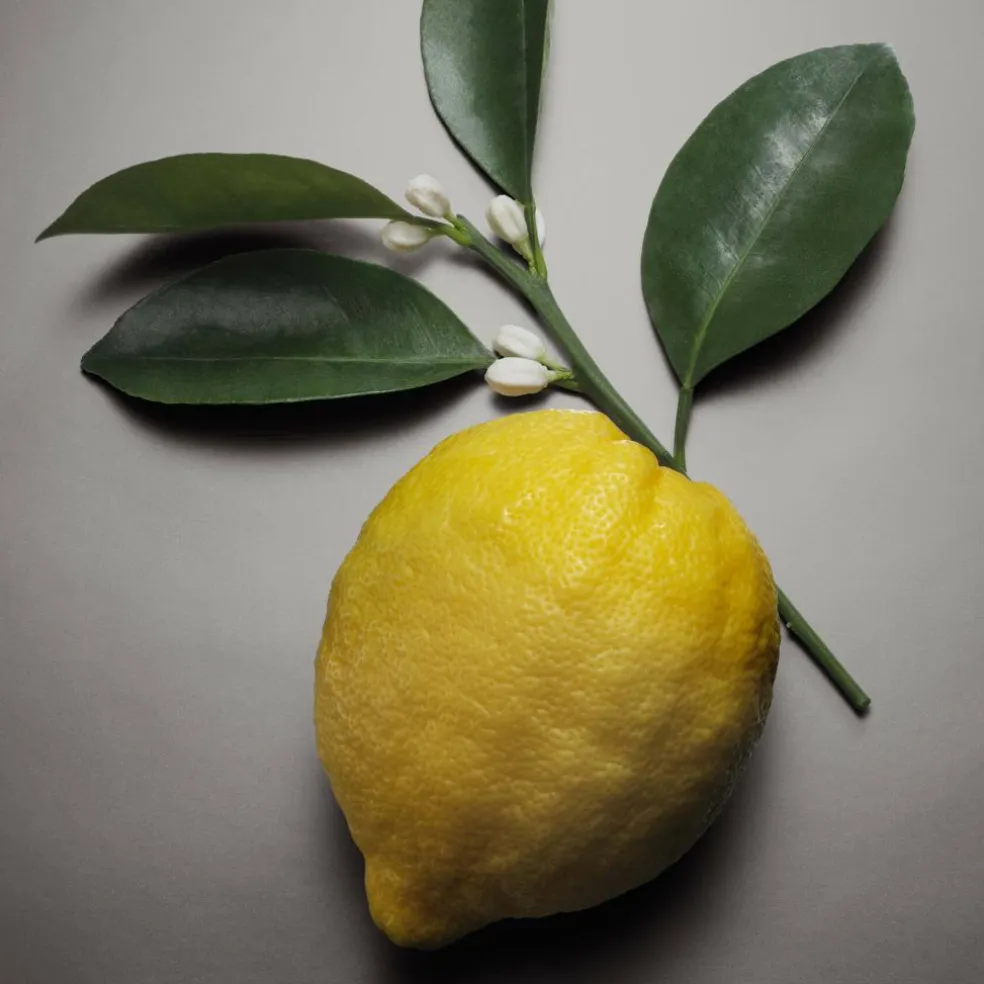 Pour Homme Absolu Eau de Parfum