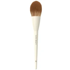 Powder Brush