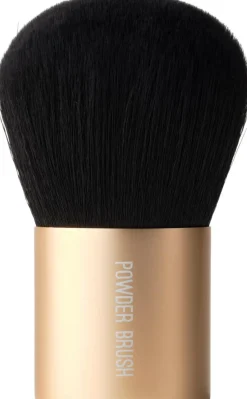 Powder Brush