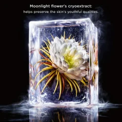 Precious SC eye cream