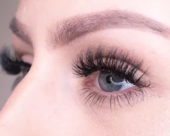 Premium BIO Collection