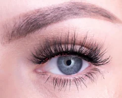 Premium BIO Collection