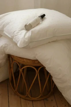 Probiotic Fabric Freshener