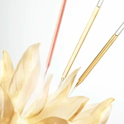 Prodigy Cellglow Concentrate