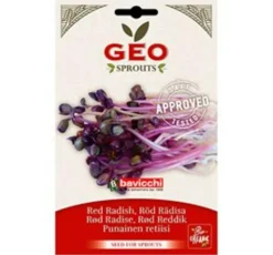 Radisefrø Rød til Spiring Ø