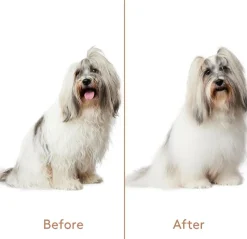 Refresh+Detangle Groomingspray