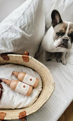 Refresh+Detangle Groomingspray