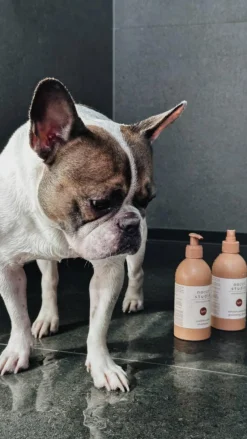 Refresh+Detangle Groomingspray