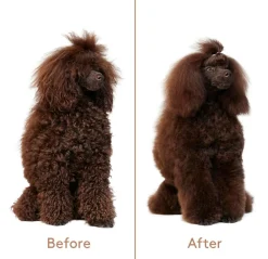 Refresh+Detangle Groomingspray