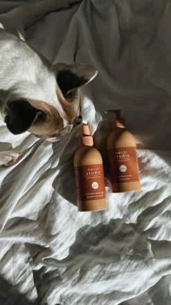 Refresh+Detangle Groomingspray