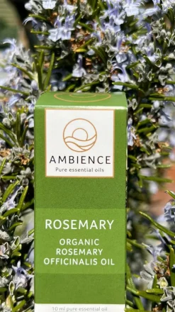 Rosmarin Olie Økologisk