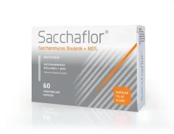 Sacchaflor