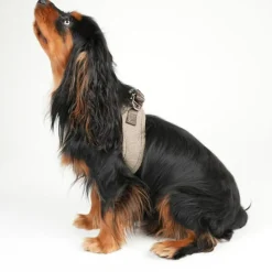 Saga Step-in Harness