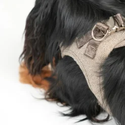 Saga Step-in Harness