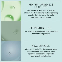 Scalp Recovery™ Kit