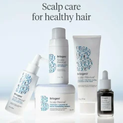 Scalp Revival Char + Biotin Dry Shampoo