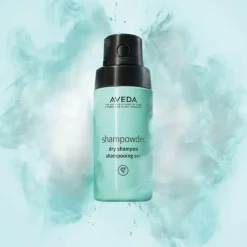 Shampowder Dry Shampoo