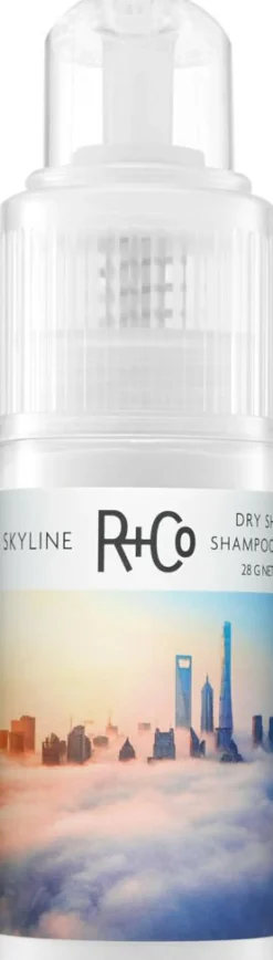 SKYLINE Volume Powder