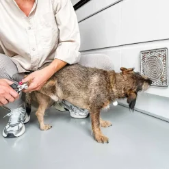 Slikkemåtte Naturgummi