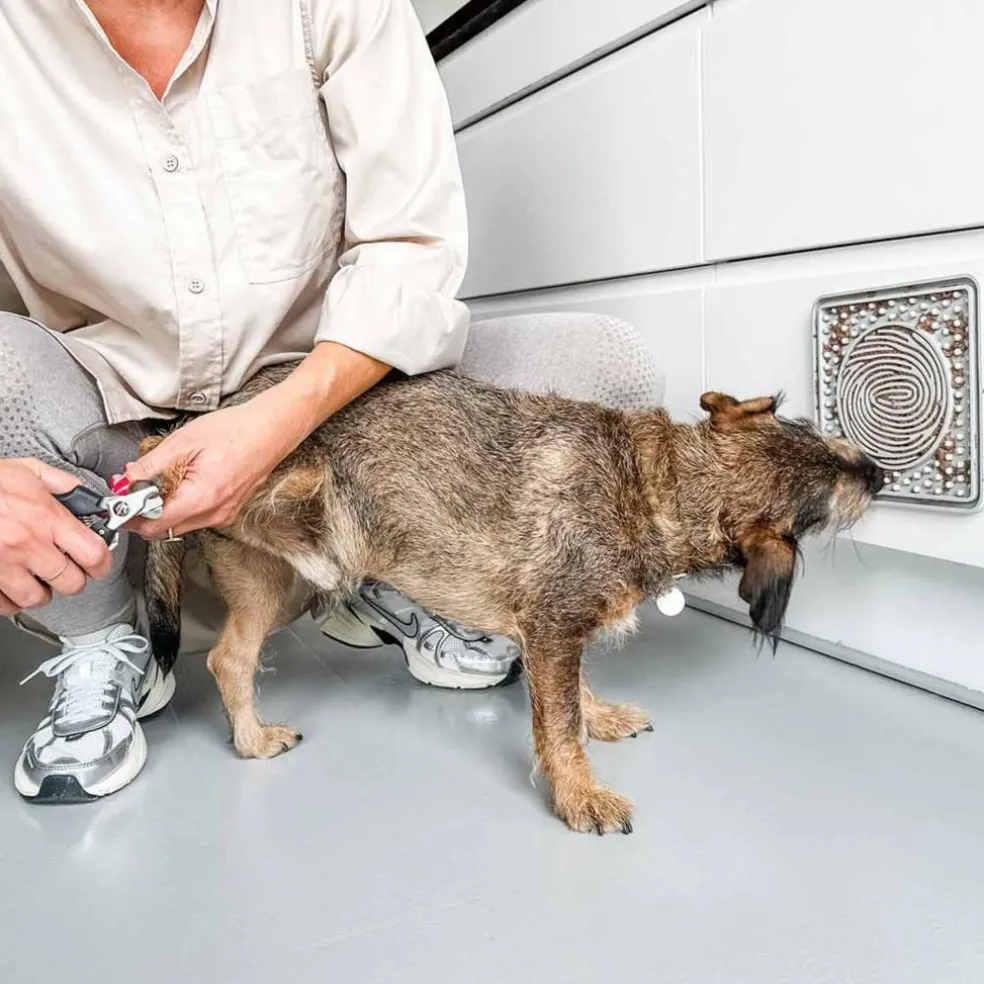 Slikkemåtte Naturgummi