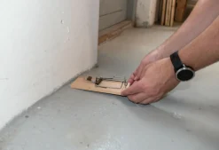 Smækfælde mod Rotter