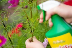 Spruzit InsektFri Klar til Brug