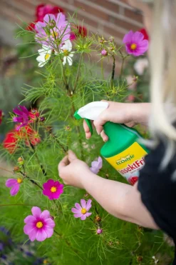 Spruzit InsektFri Klar til Brug