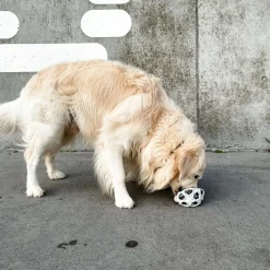 Stellar Ball Naturgummi