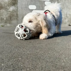 Stellar Ball Naturgummi