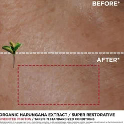 Super Restorative Day Cream For Very Dry Skin