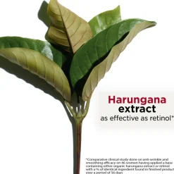 Super Restorative Decollete & Neck