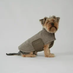 Teddy Dog Coat