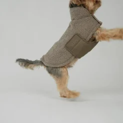 Teddy Dog Coat