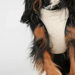 Teddy Step-in Harness