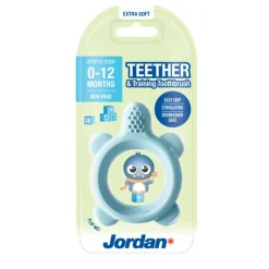 Teether & Training Toothbrush