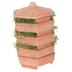 Terracotta Sprouter