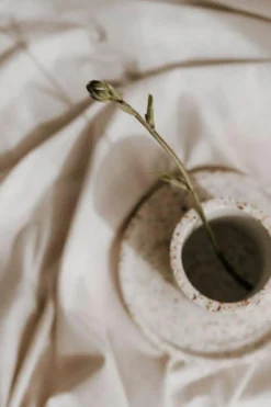 Terrazzo Tandbørstekrus