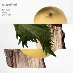 Terre d'Hermès Perfume