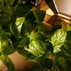 The One for Men Eau de Toilette