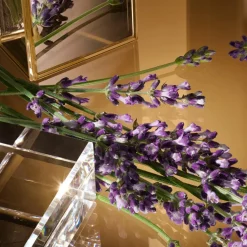 The One for Men Eau de Toilette