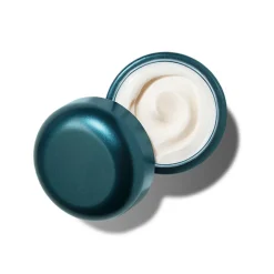 The Rejuvenating Night Face Cream