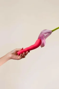 The Romantic Vibrator