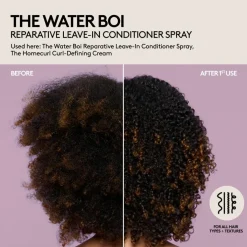 The Water Boi Leave In Conditioner Spray