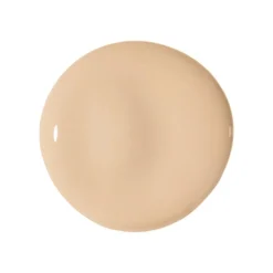 True Match The One Concealer