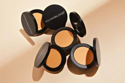 Ultimate Concealer