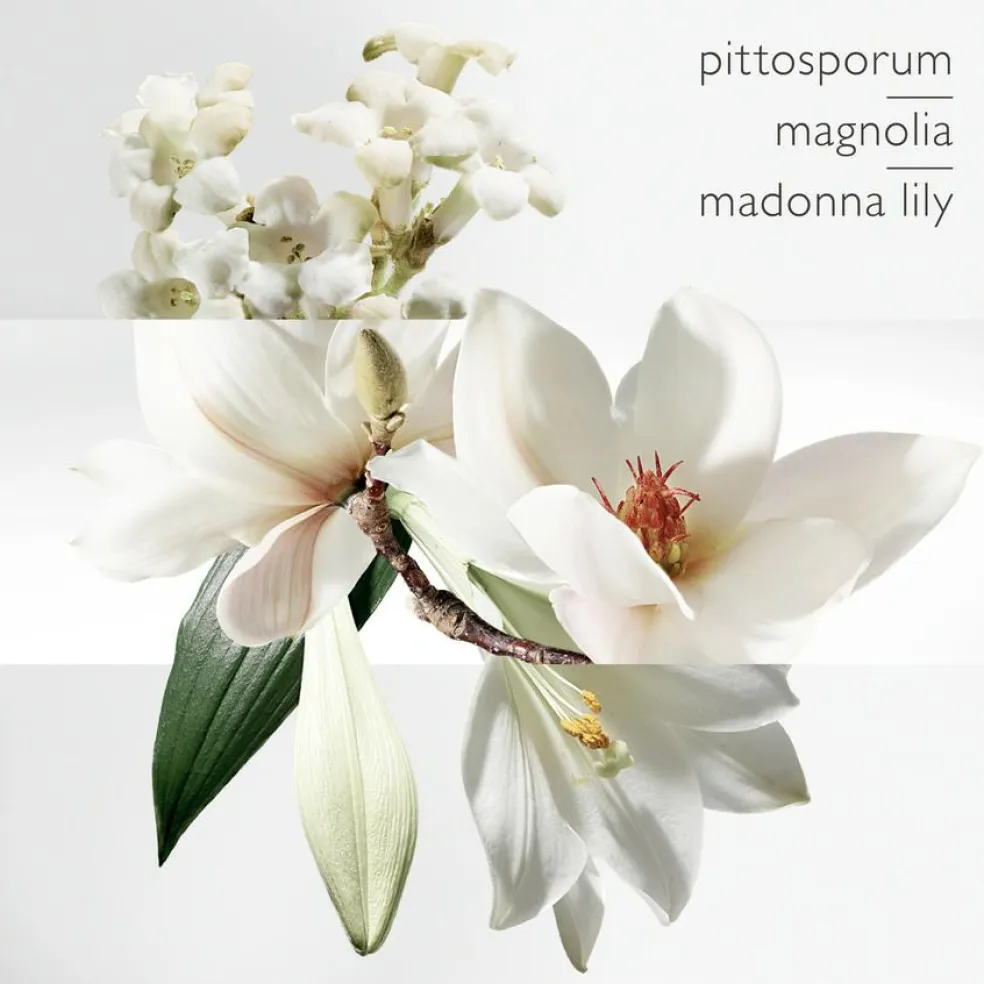 Un Jardin sur la Lagune Eau de Toilette