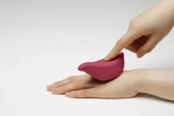 Vibrator
